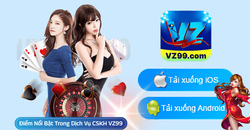 Điểm Nổi Bật Trong Dịch Vụ Chăm Sóc Khách Hàng VZ99