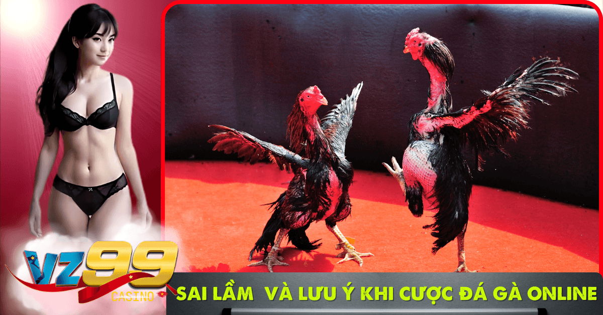 Những sai lầm và lưu ý khi cược đá gà trên mạng