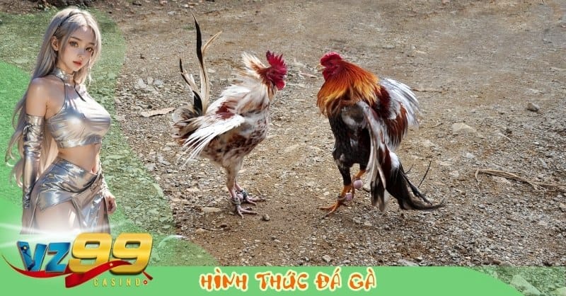 Các Hình Thức Đá Gà: Truyền Thống và Online Phổ Biến Nhất
