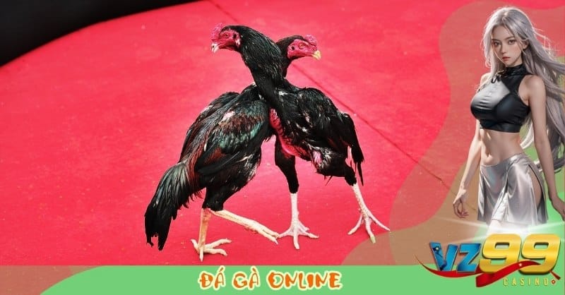 Đá Gà Online VZ99: Hướng Dẫn Tham Gia Và Cá Cược Chi Tiết